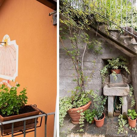Casetta Di Butia, Ginestra Apartment With Swimming Pool Borgo a Mozzano Exterior photo