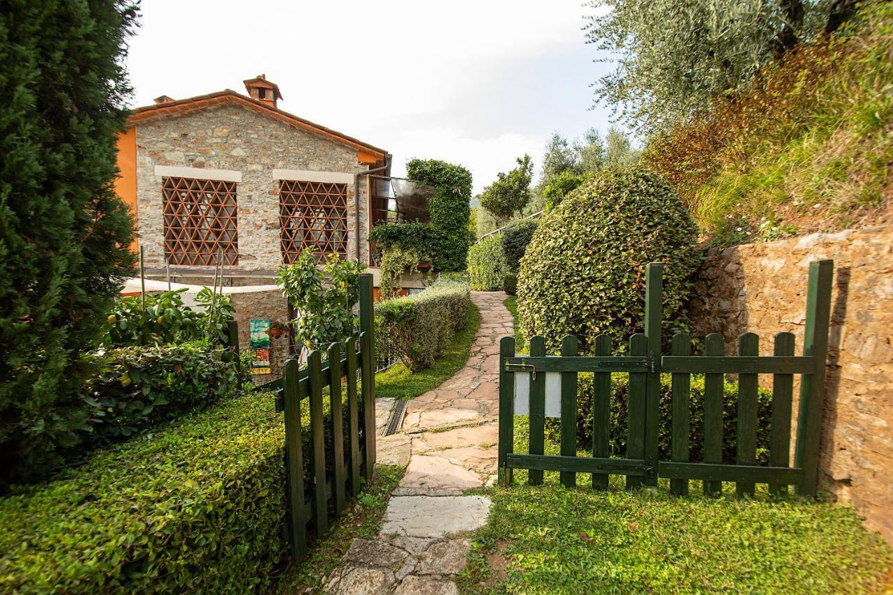 Casetta Di Butia, Ginestra Apartment With Swimming Pool Borgo a Mozzano Exterior photo
