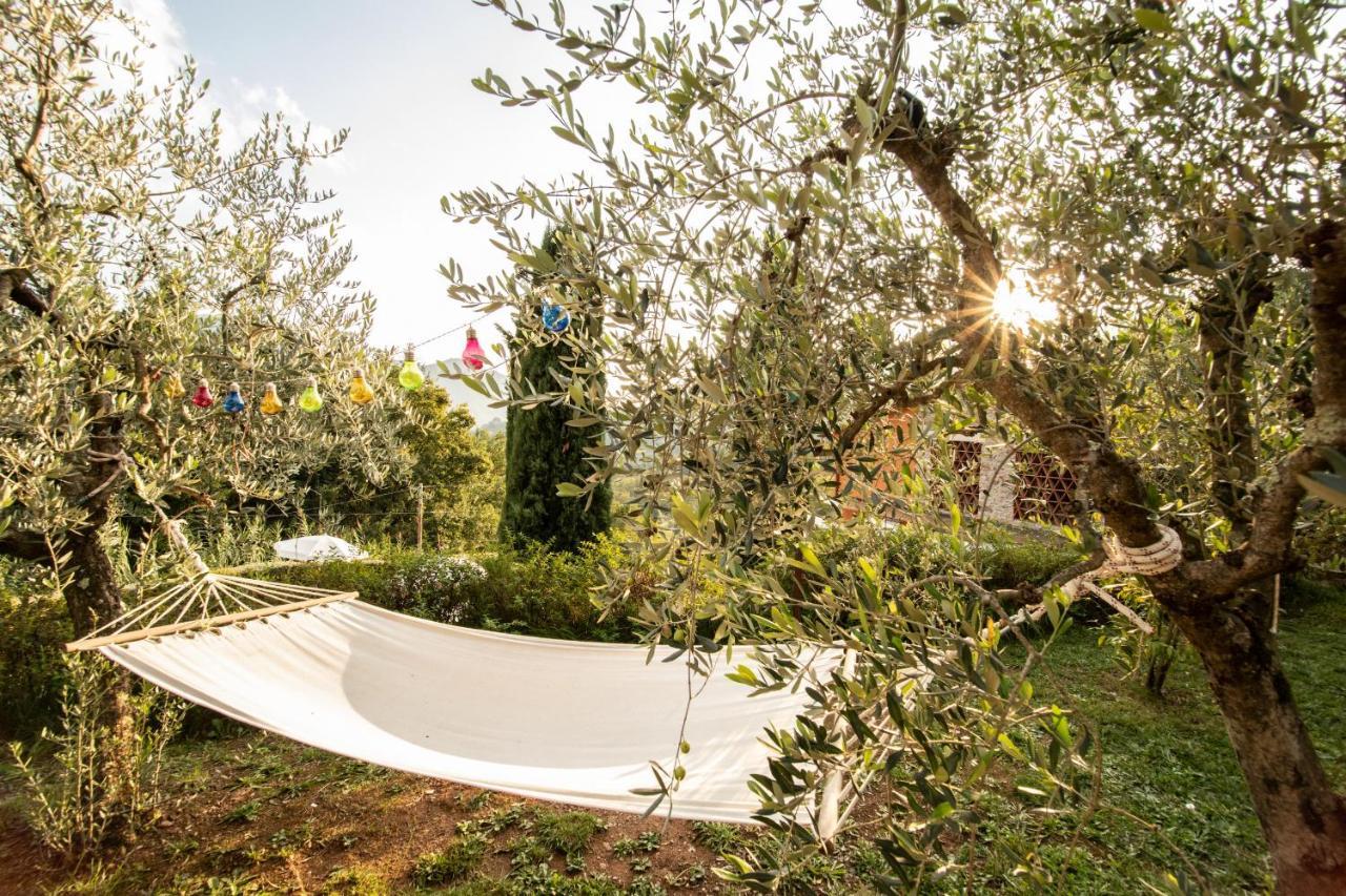 Casetta Di Butia, Ginestra Apartment With Swimming Pool Borgo a Mozzano Exterior photo