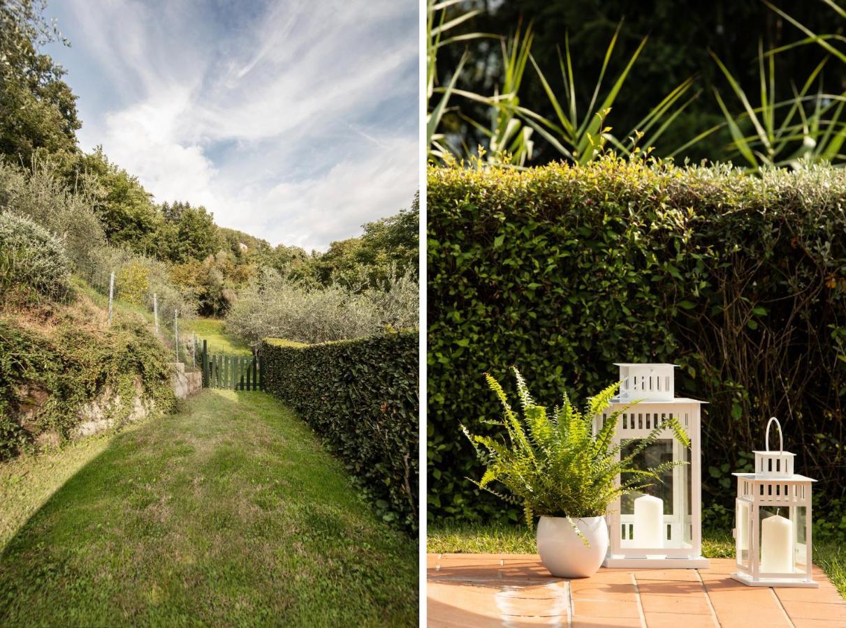 Casetta Di Butia, Ginestra Apartment With Swimming Pool Borgo a Mozzano Exterior photo