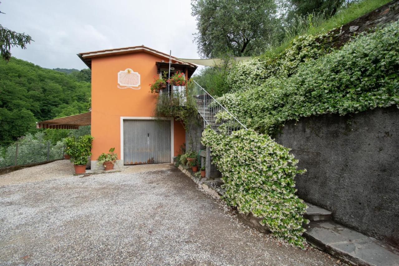 Casetta Di Butia, Ginestra Apartment With Swimming Pool Borgo a Mozzano Exterior photo