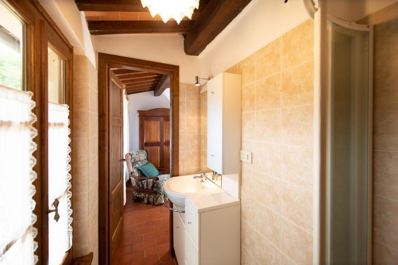 Casetta Di Butia, Ginestra Apartment With Swimming Pool Borgo a Mozzano Exterior photo